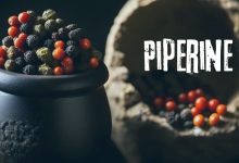 Piperens